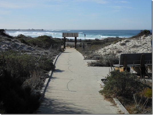 Asilomar-Spanish Bay 068