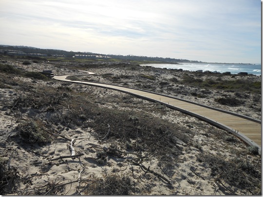 Asilomar-Spanish Bay 078