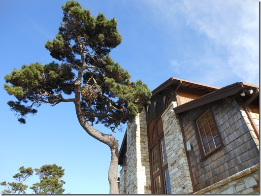 Asilomar-Spanish Bay 121