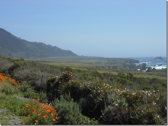 Central Coast-Big Sur 271