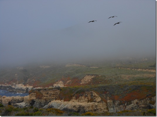 Garrapata Big Sur 095