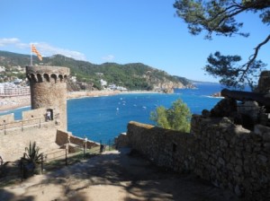 a stone castle with a flag on top of a hill overlooking the water