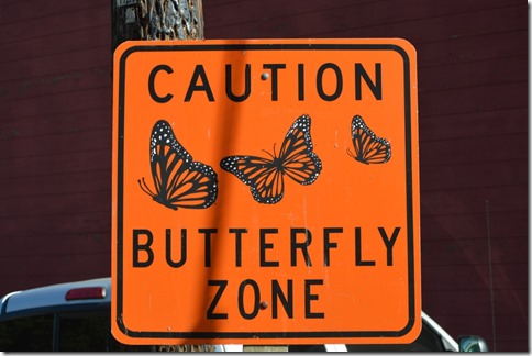 Butterfly Zone