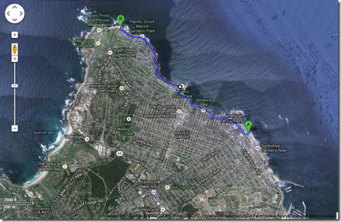 GoogleSat-Pacific Grove