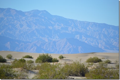 Mesquite Sand Dunes