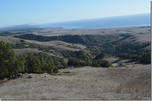 Hearst Castle road view