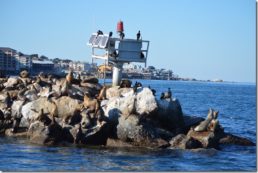 MB coast guard jetty