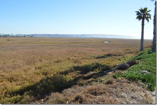 Tijuana Estuary