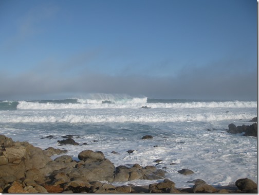 Pacific Grove Maverick waves-2-13-10 079