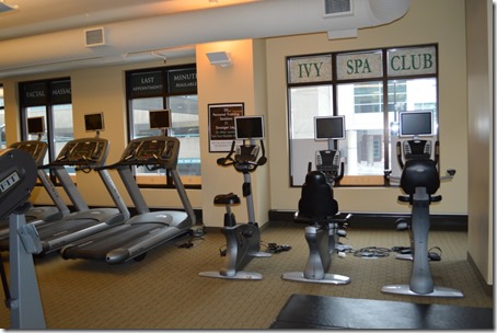 Hotel Ivy fitness-2