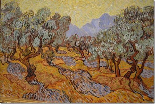 Van Gogh olive closeup