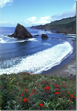 Mendocino Coast