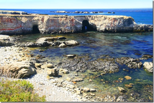 Mendocino Stornetta Public Lands Rocks