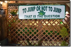 Jump or not