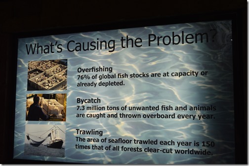 Overfishing