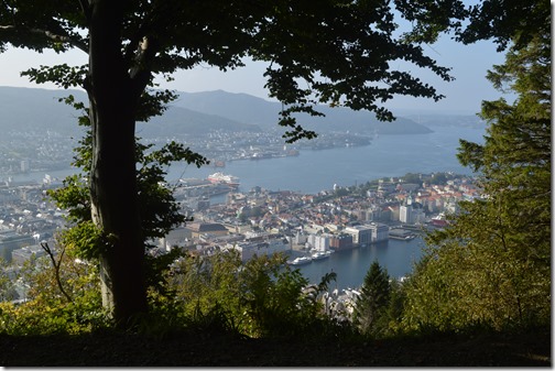 Bergen view-2