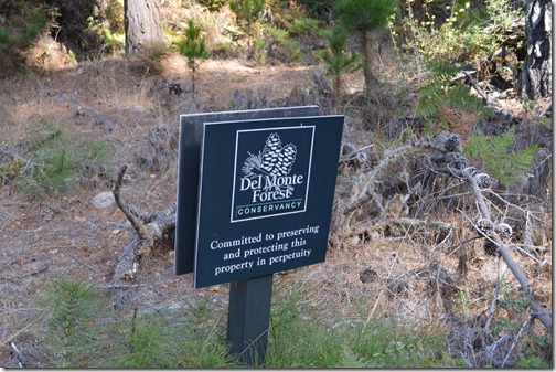 Del Monte Forest Conservancy