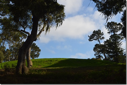 MPCC green by trail