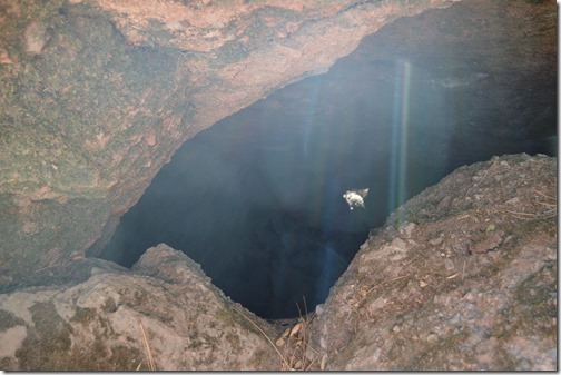 talus cave bat