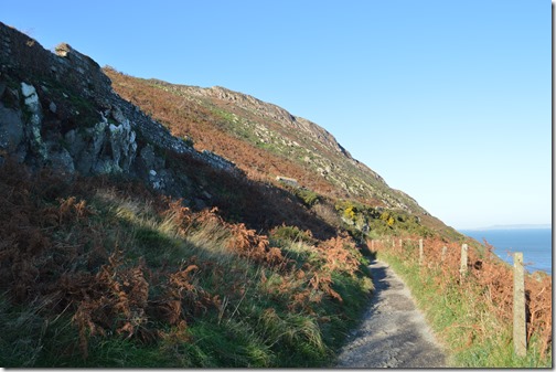 Bray head north