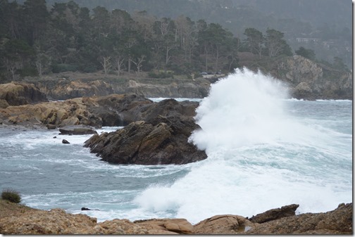 Point Lobos crash wave