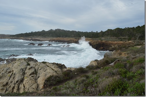 Point Lobos swells