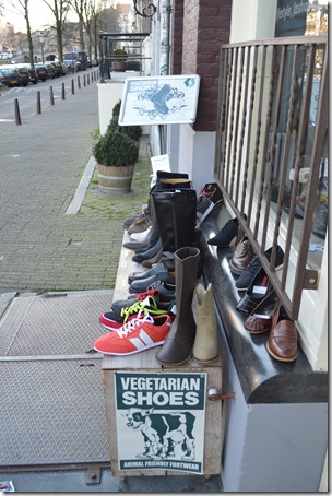 Vegetarian shoes