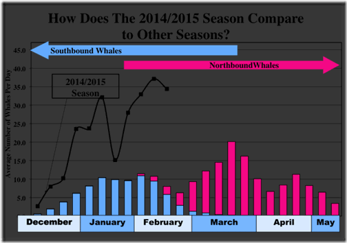 ACS-LA 2015 census