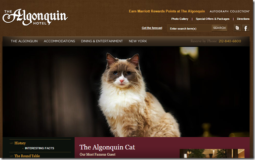 Algonquin Matilda Cat