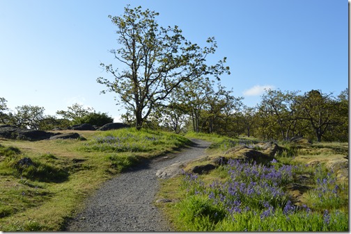 Beacon Hill Park