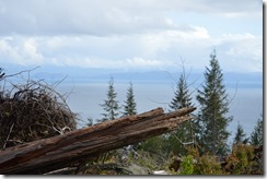 Port Renfrew-Sooke-4