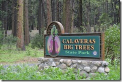 Calaveras Big Trees State park
