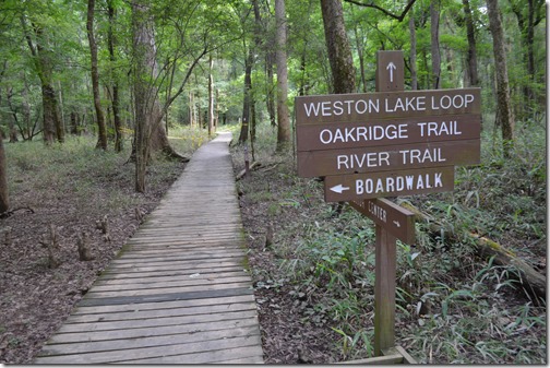 Congaree boardwalk trail sign