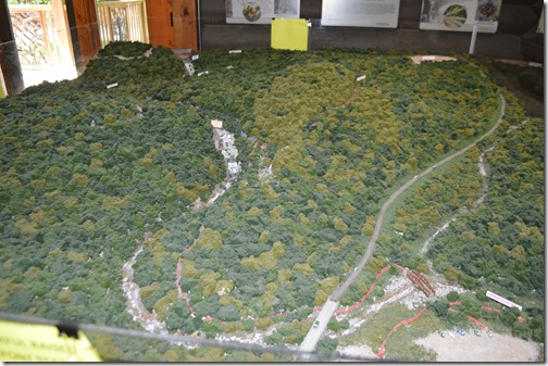 DuPont State Forest diorama