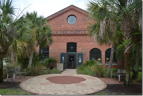 Georgia Sea Turtle Center building