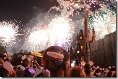 Mickey Fireworks