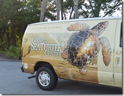 Sea Turtle van