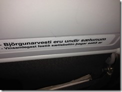 Icelandic plane signs