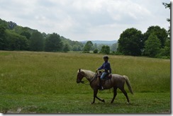 Biltmore equestrian