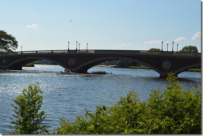 Charles River rowers