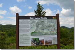 Graveyard Fields