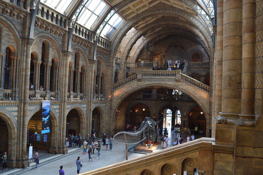 a large building with many people with Natural History Museum in the background