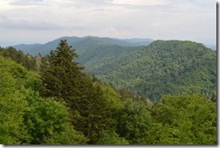 Newfound Gap view