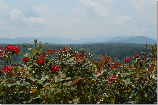 View from Biltmore Inn