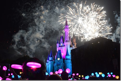 DisneyWorld fireworks