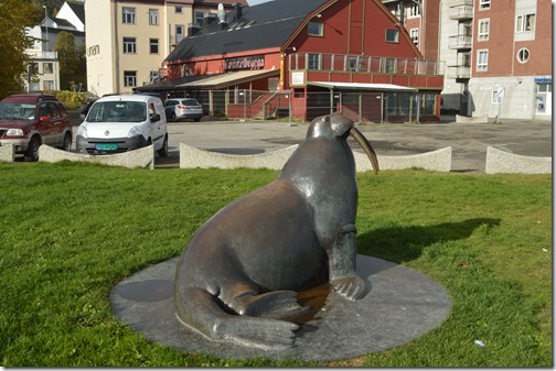 Harstad walrus