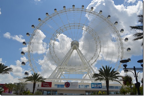 Orlando Eye