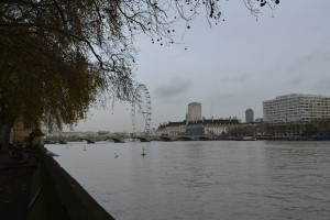 a river with a ferris wheel and buildings in the background