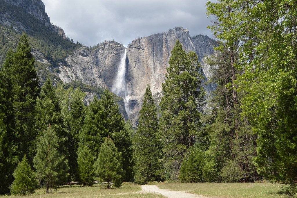 a waterfall in the forest