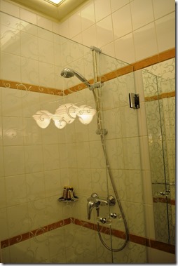 Ramada 222 shower